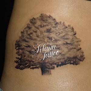 樹木の刺青作品