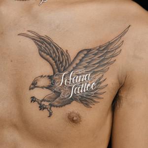 鷲|鷹のタトゥー