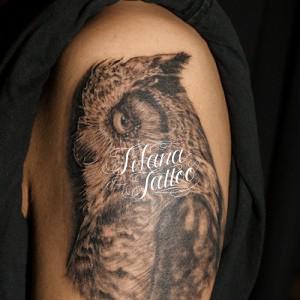 梟|フクロウのタトゥー