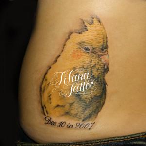 インコのタトゥー