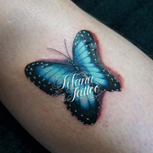 Realistic Butterfly Tattoo