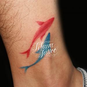 色違いのイルカのタトゥー