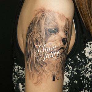 犬のポートレイトタトゥー作品画像