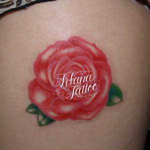 ピンクの薔薇のガールズタトゥー