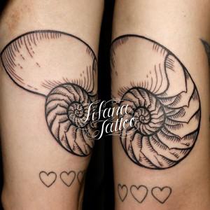 アンモナイトのタトゥー