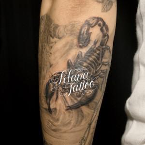 サソリのタトゥー