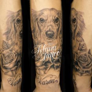 犬と薔薇のポートレイトタトゥー