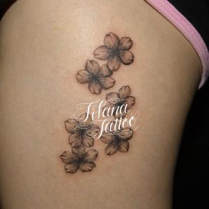 桜のタトゥー|TATTOO