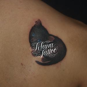 ピアスをした猫のタトゥー