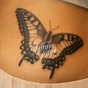 蝶の刺青作品
