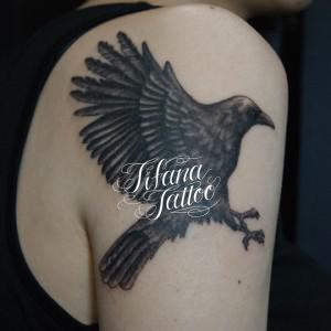 烏の刺青作品画像