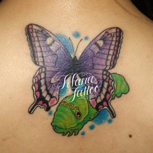 蛹と蝶のガールズタトゥー