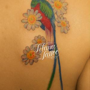 ケツァールと花のタトゥー