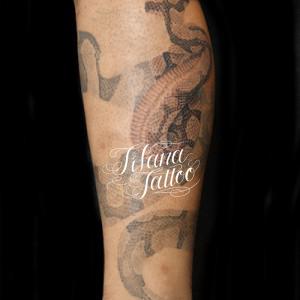 SNAKE TATTOO