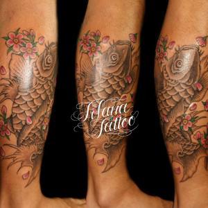 鯉|桜の刺青作品画像