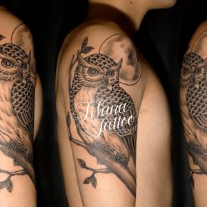 梟と月のタトゥー