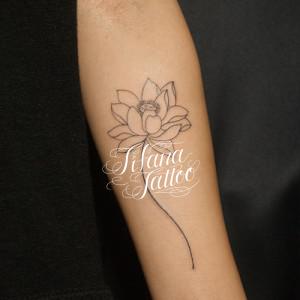 蓮の花のタトゥー