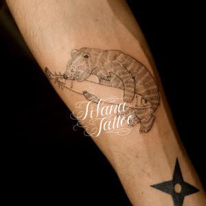 熊|鮭のタトゥー