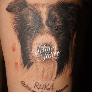 犬のポートレートタトゥー