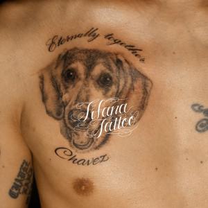 犬のポートレートタトゥー