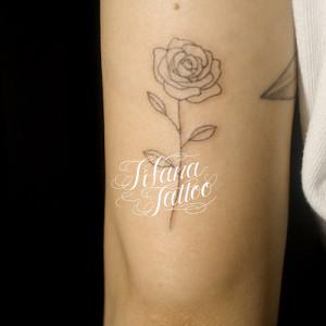 バラのラインアート・タトゥー