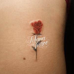 赤いバラのワンポイントタトゥー