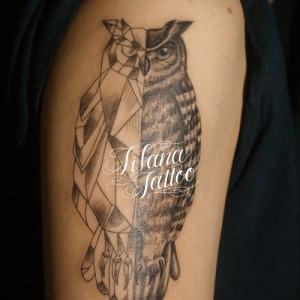 梟|フクロウのタトゥー