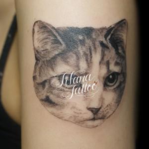 愛猫のタトゥー