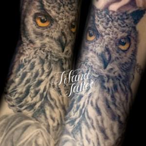 フクロウのタトゥー