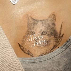 猫|ネコのタトゥー