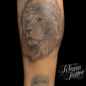 ライオンのタトゥー