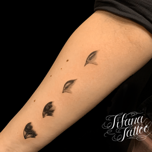 ダーウィンフィンチのファインライン・タトゥー