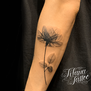 蓮のファインライン・タトゥー