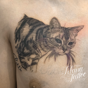 猫のポートレートタトゥー