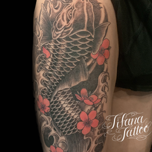 鯉|桜のタトゥー