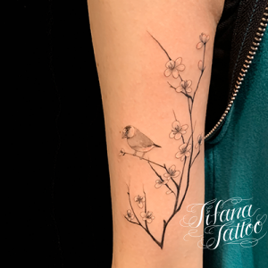 白梅と文鳥のタトゥー