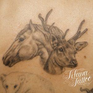 馬と鹿のタトゥー