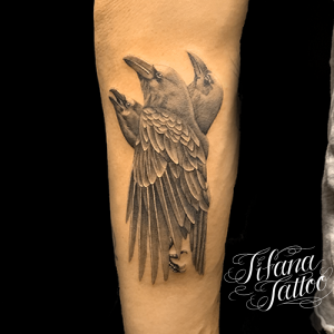 カラス|烏のファインライン・タトゥー