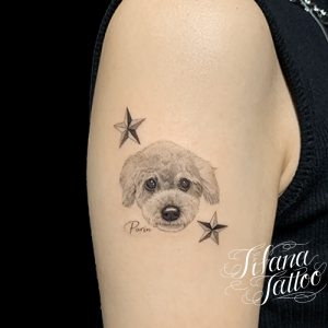 トイプードルのファインライン・タトゥー