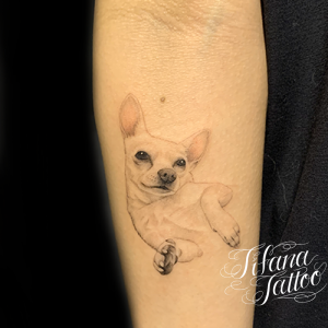 チワワのファインライン・タトゥー
