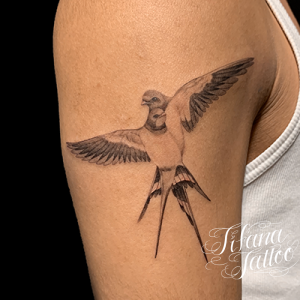 ツバメ|燕のファインライン・タトゥー