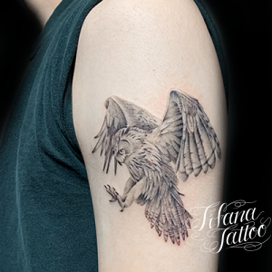 フクロウ|梟のファインライン・タトゥー