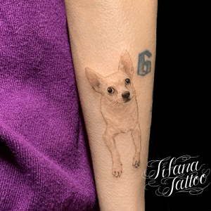 チワワのファインライン タトゥー