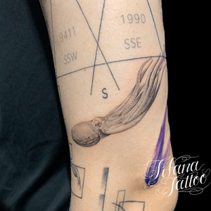 タコのファインライン・タトゥー