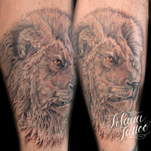 ライオンのファインライン・タトゥー