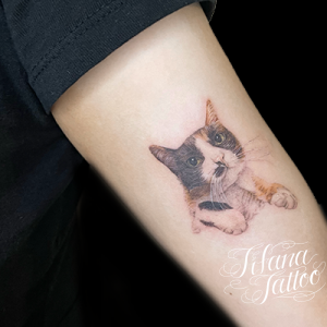 猫のファインライン・タトゥー