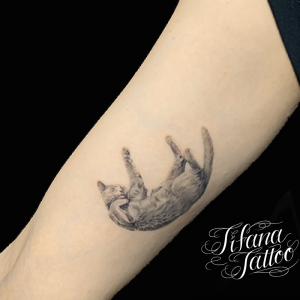 猫|ネコのファインライン・タトゥー