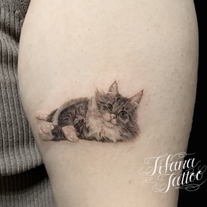 ファインライン