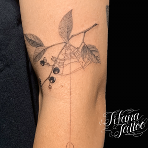 ブルーベリー|蜘蛛のファインライン・タトゥー