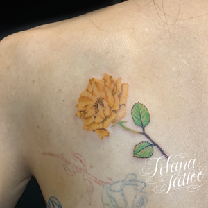 ミニバラのタトゥー